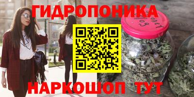 амф Краснодар