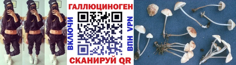 Псилоцибиновые грибы мицелий  где можно купить наркотик  Кудрово 