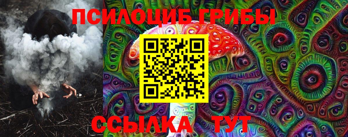 Лсд 25 Кудрово