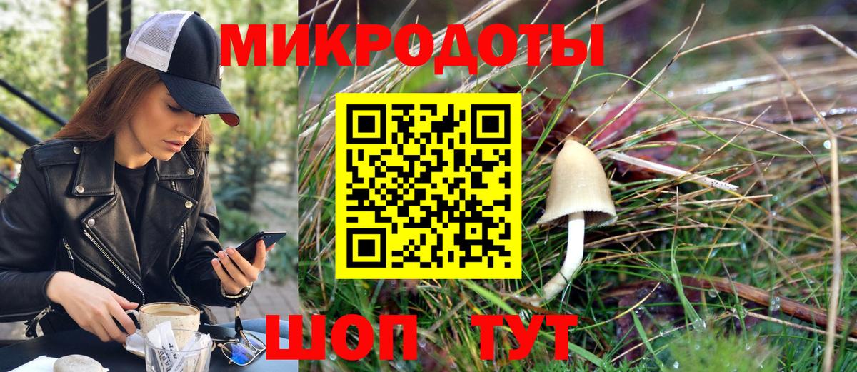 Кудрово  цена   Вход с VPN  Псилоцибиновые грибы MAGIC MUSHROOMS 