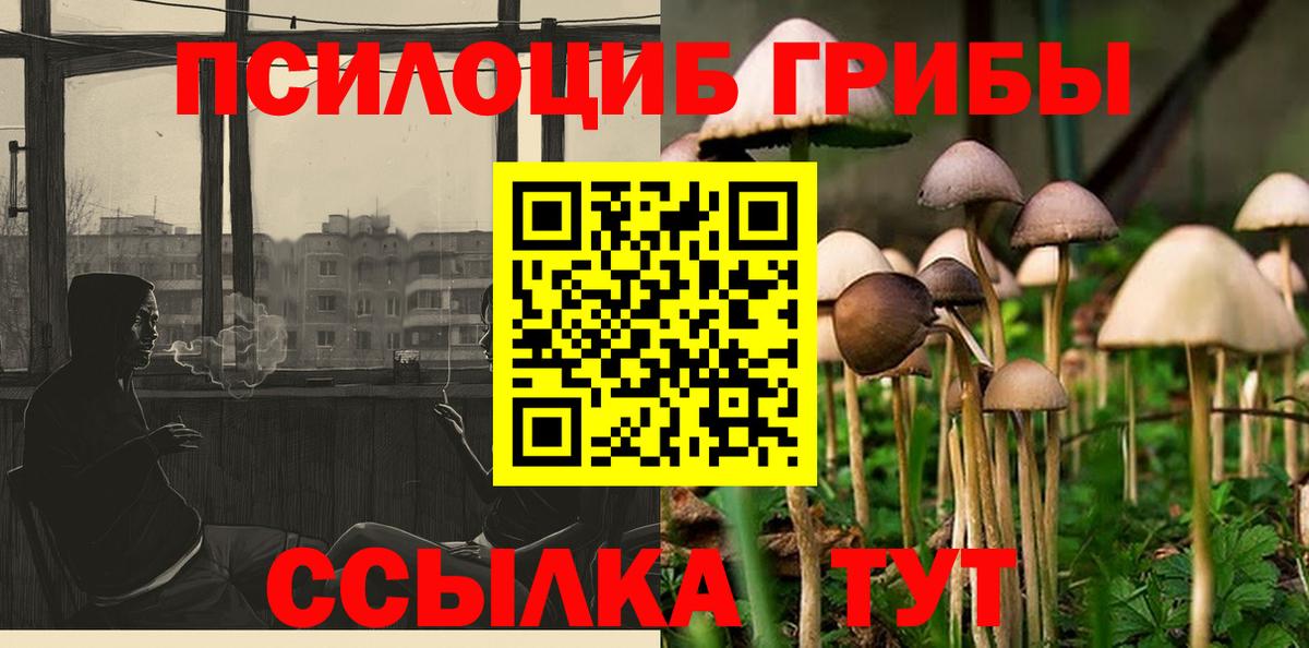 Псилоцибиновые грибы мухоморы Кудрово
